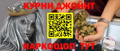 крисы Будённовск