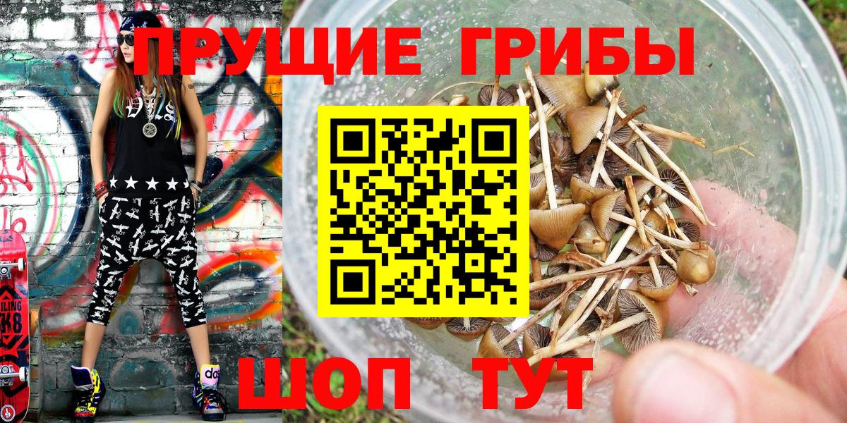 Псилоцибиновые грибы Psilocybe  Галлюциногенные грибы Psilocybe  Вход с VPN  Нефтекамск 